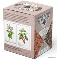 Гречишный чай Сугревъ с гречихой и корицей 15 шт