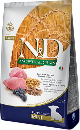 ndlowbluebmini25