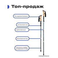 Палки для скандинавской ходьбы RoadLike Compact 335123 (голубой)