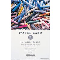 Набор бумаги для рисования Sennelier Pastel Card N136754 (12л)