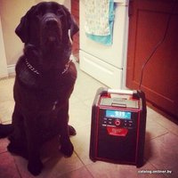 Зарядное устройство Milwaukee M18 RC-0 4933446639 (18В)