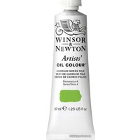Масляные краски Winsor & Newton Artists Oil 1214084 (37 мл, бледно-зеленый кадмий)
