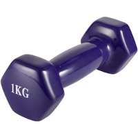 Гантель VictoryFit VF-DV010 1 кг