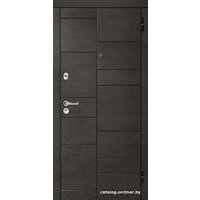 Металлическая дверь Металюкс Триумф М91/2