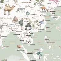 Фотообои Citydecor Детская Карта мира 351 546x265 в Витебске