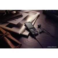 Hi-Fi плеер Sony NW-A25HN 16GB Black