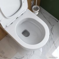 Унитаз подвесной Cezares Comfort CZR-191-TH/CZR-2316-SC в Борисове