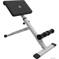 Гиперэкстензия DFC Homegym SJ1006 (белый)