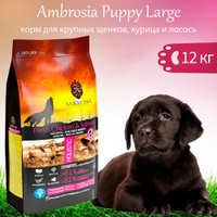Сухой корм для собак Ambrosia Grain Free (для щенков крупных пород курица и лосось) 12 кг