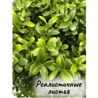 Искусственное растение Merry Bear Home Decor Самшит шаровидный KM5305