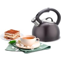 Чайник со свистком Rondell Tierno RDS‑1900