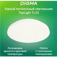 Светильник Digma TopLight TL25