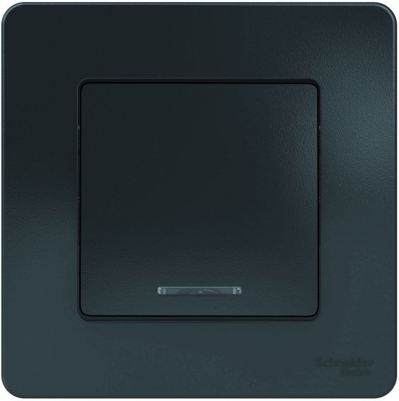 

Выключатель Schneider Electric BLNVS010116