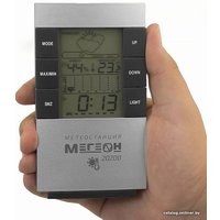 Метеостанция Мегеон 20200