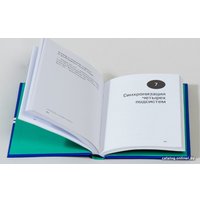 Книга издательства Альпина Диджитал. Управление в условиях кризиса. Как выжить и стать сильнее (Адизес И.) в Борисове