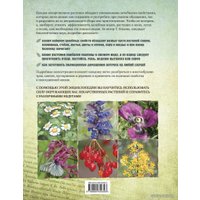 Книга издательства Эксмо. Лекарственные растения. Большая иллюстрированная энциклопедия (Ильина Татьяна Александровна)