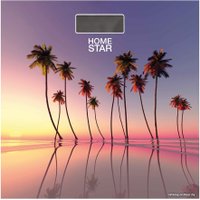 Напольные весы HomeStar HS-6001S в Борисове