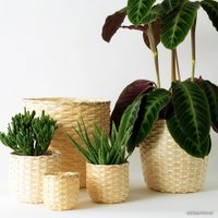 Кашпо Ikea Каффебона 404.236.20