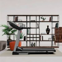 Беговая дорожка DFC Walker Evo Pro T-S1 Pro