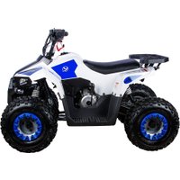 Квадроцикл Yacota Raposa 110 куб.см. (белый)