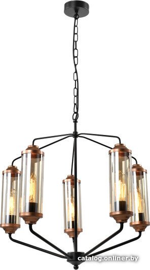 Подвесная люстра Lussole Fishers LSP-8800