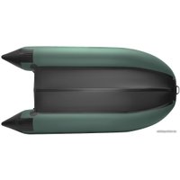 Моторно-килевая лодка Roger Boat Hunter Keel 3000 (малокилевая, зеленый/черный)