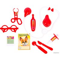 Игровой набор ветеринара Кошечки-Собачки Набор Доктора 38429