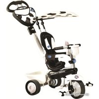 Детский велосипед Smart Trike Zoo (3 в 1)