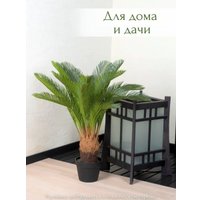 Искусственное растение Merry Bear Home Decor Пальма Саговая Цикас AR22083
