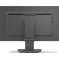 Монитор NEC MultiSync EA242F (черный)