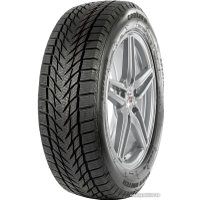 Зимние шины Centara Vanti Winter 205/55R16 94H