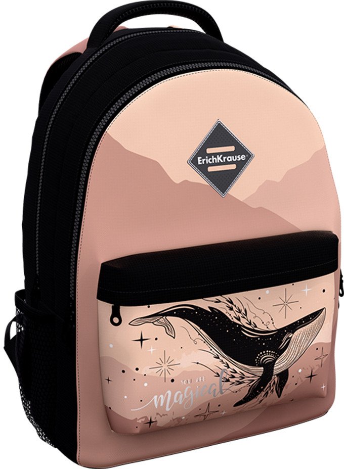 

Школьный рюкзак Erich Krause EasyLine 20L Moon Dreams 60310