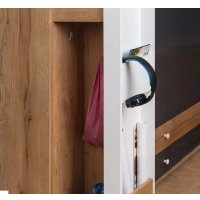 Шкаф распашной Глазов МЦН Лойс 85 (Дуб золотистый/Белый/Графит)