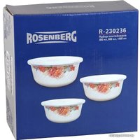 Набор контейнеров Rosenberg R-230236