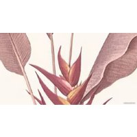 Фотообои ФабрикаФресок Тропические пальмовые листья 273270 (300x270)