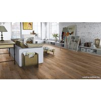 Ламинат Tarkett Pilot Браун [504418006]