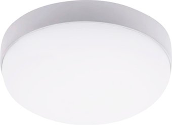 Светильник Ambrella light Street ST8631 WH (белый)