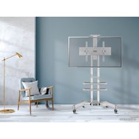 Кронштейн для телевизора Onkron TS1552 (белый)