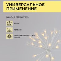 Рождественская ветка AksHome Тип 8 Фейерверк 31х75см 25LED 3АА