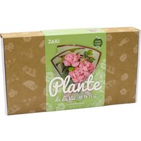 Конструктор Jaki Розовый букет JK2687