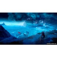  Ведьмак 3: Дикая Охота. Коллекционное издание для PlayStation 4