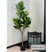 Искусственное растение Merry Bear Home Decor Фикус Лировидный AX297145