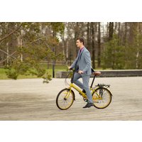 Велосипед Shulz Krabi V-brake 2025 (мухоморы)