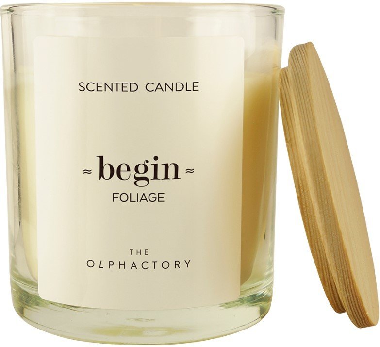 

Ароматизированая свеча Ambientair The Olphactory Begin Foliage VV401TMTO