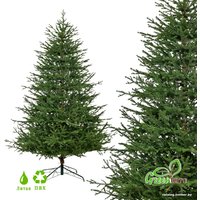 Ель GreenTerra Вилтони 2.1 м