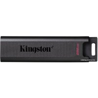 USB Flash Kingston DataTraveler Max Type-C 256GB