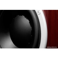 Напольная акустика Dynaudio Excite X38