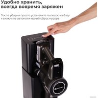 Пылесос Evolution Smart Clean DS2511