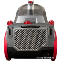 Пылесос Redmond (Редмонд) RV-C335