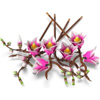 Конструктор LEGO Botanicals 11510 Ветви магнолии